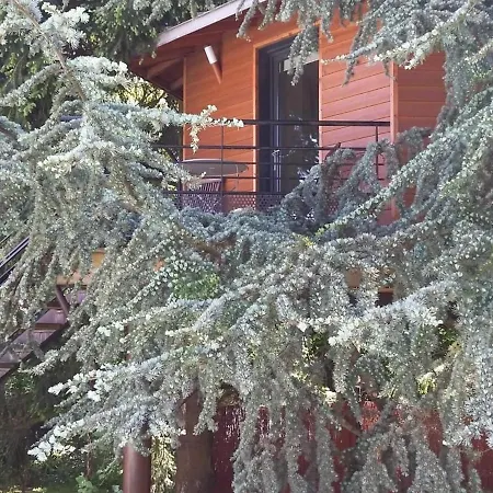 Perchee Avec Lit King-size, Salle D'eau, Kitchenette, Tv, Wi-fi Et Petit-dejeuner Inclus - Fr-1-306-1237 3* Port-Saint-Père